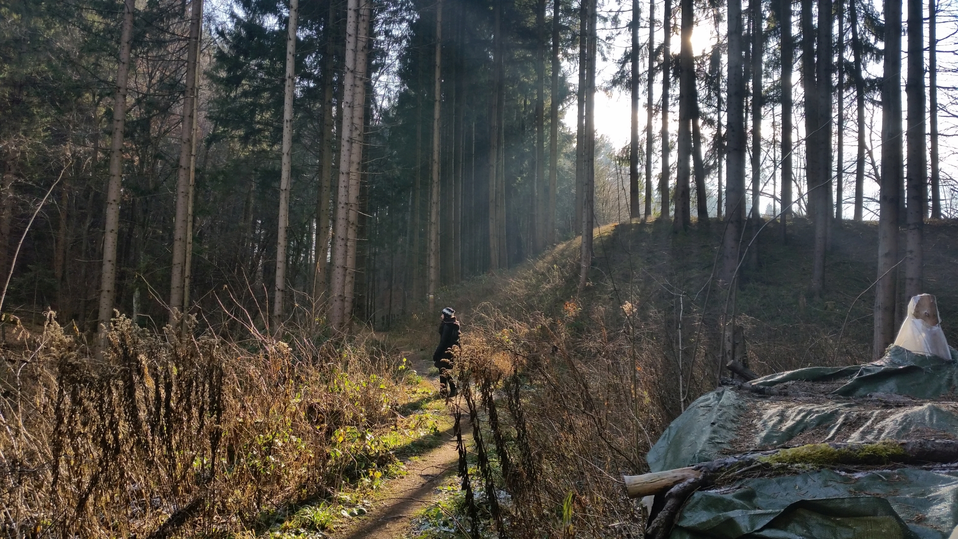 Silvesterspaziergang Gödersdorf