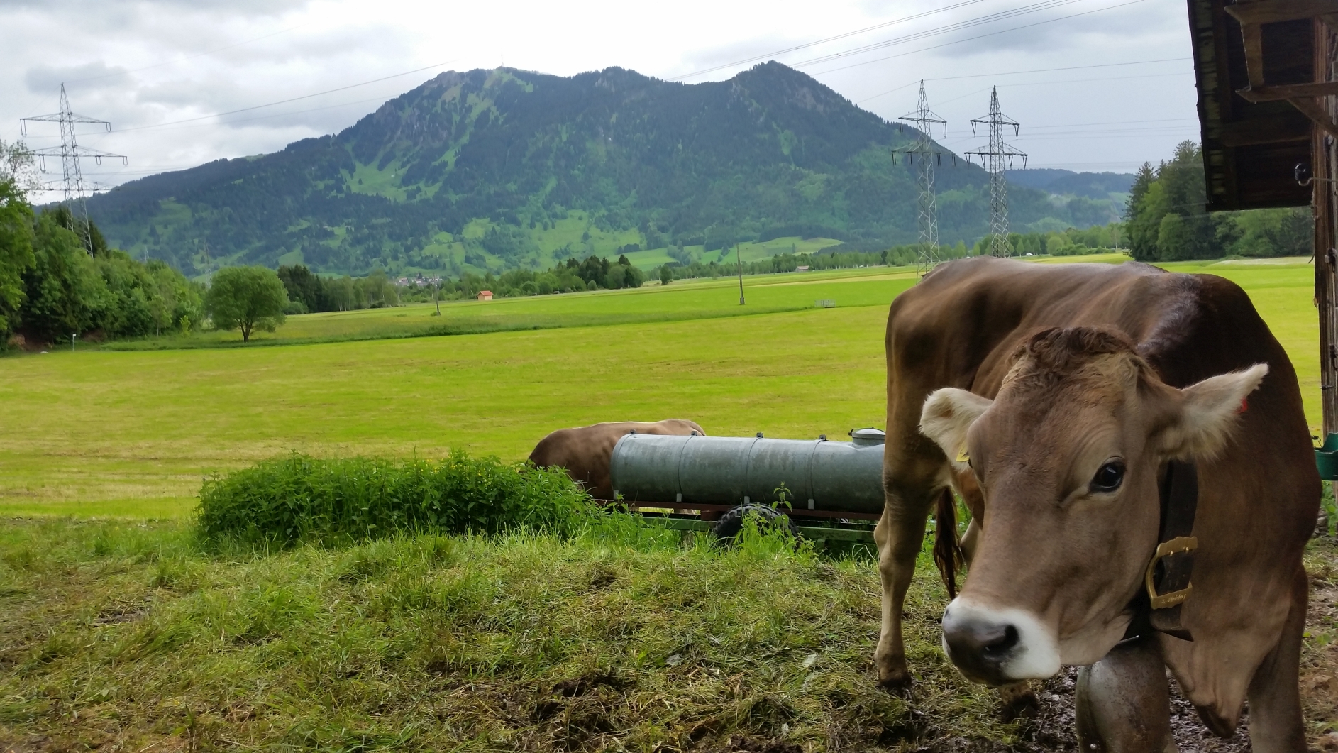 Das Allgäu